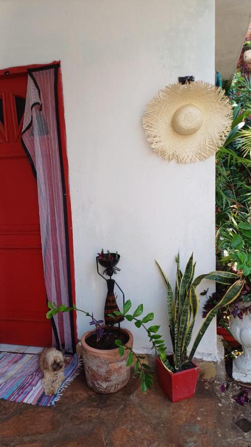 La Petite Maison De Diana Asunción Exterior photo