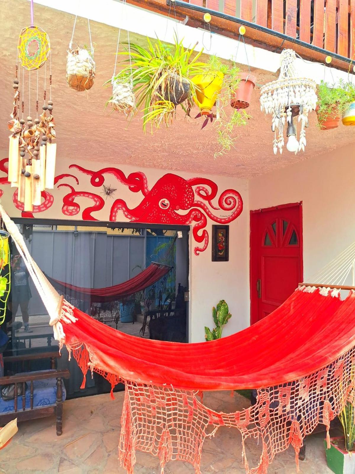 La Petite Maison De Diana Asunción Exterior photo
