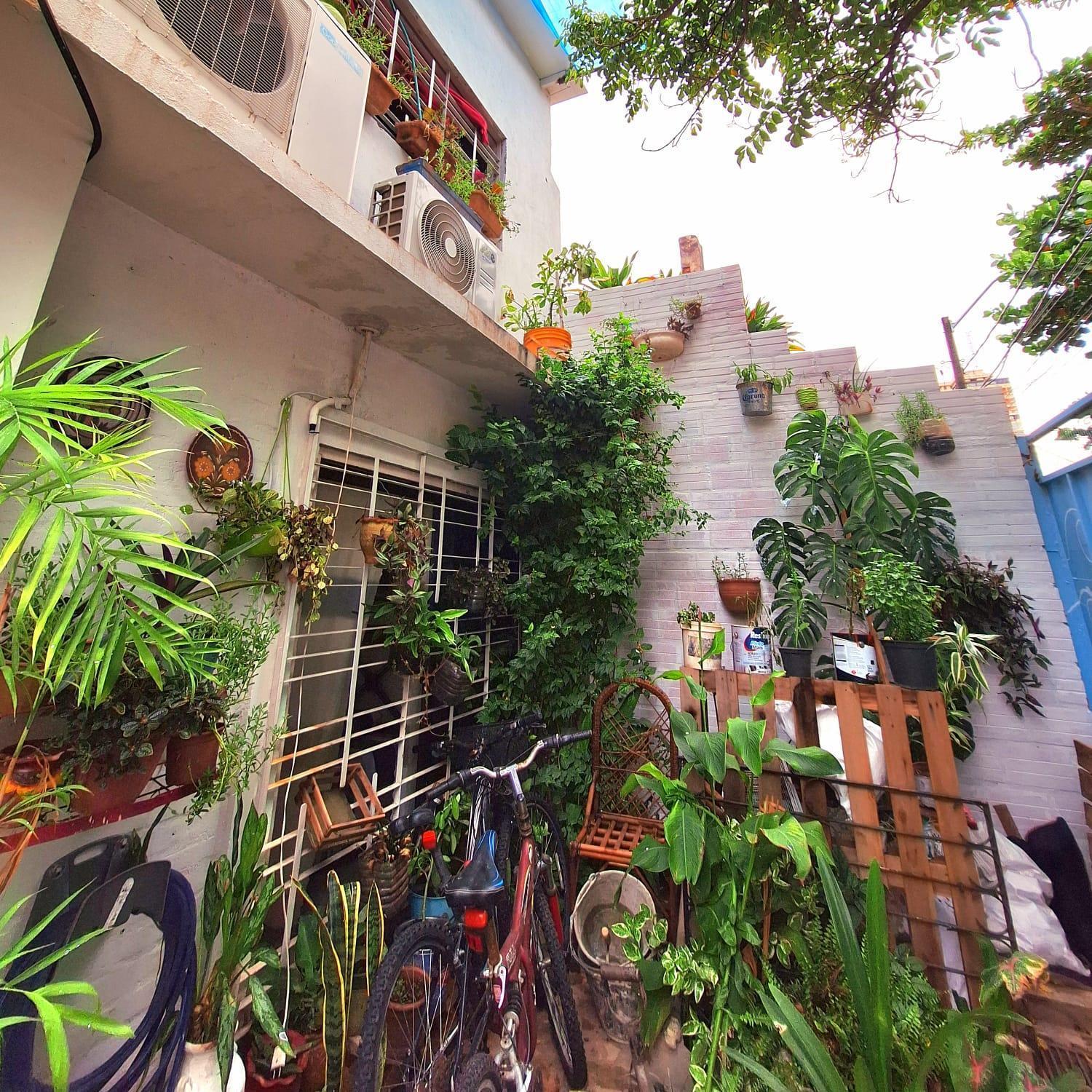 La Petite Maison De Diana Asunción Exterior photo